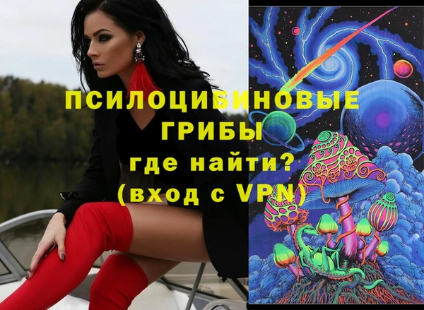 ешки Алексин