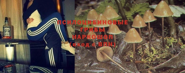 ешки Алексин