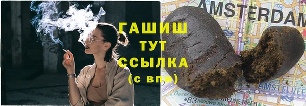 ешки Алексин