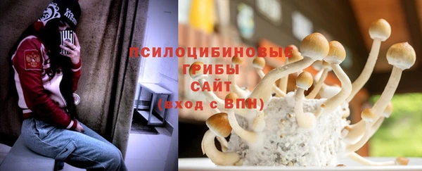 ешки Алексин