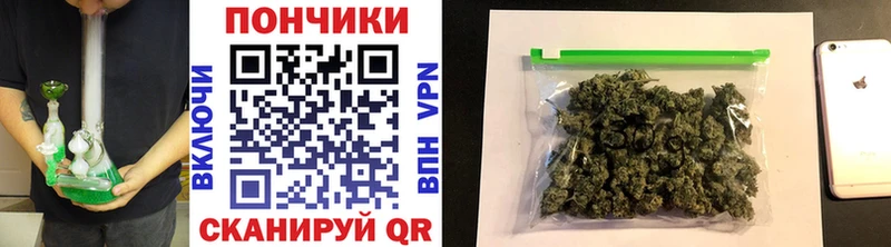 цены наркотик  Ишим  Канабис план 